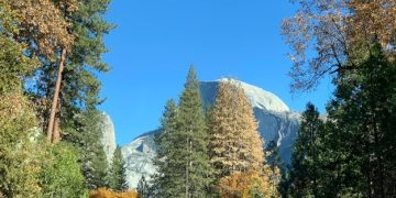 National Park Attendance Soars 8% in 2025: Conservation Pays Off - Cover Image