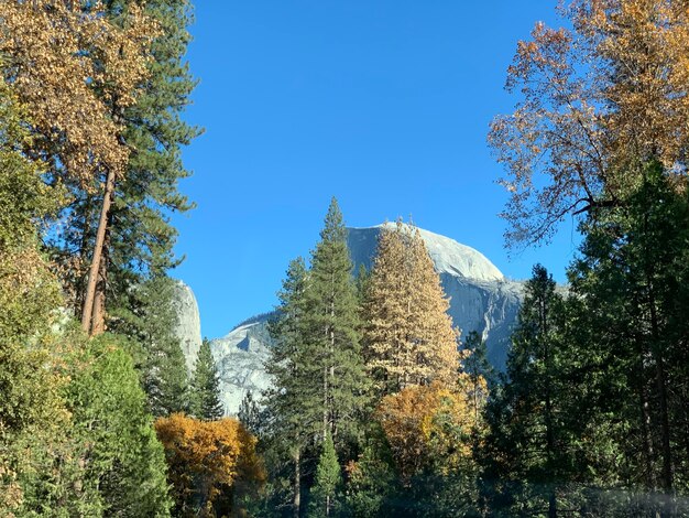 National Park Attendance Soars 8% in 2025: Conservation Pays Off