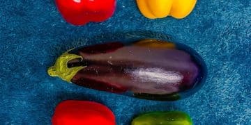 US Food Waste Reduction Programs See 20% Decrease in Landfill Waste: Your Guide to Contributing - Cover Image