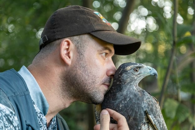 A close-up shot of a group of conservationists releasing a bald eagle back into the wild. Two people are holding the eagle gently, and a crowd of onlookers watch with anticipation. The background is a lush forest, and the sky is partly cloudy.