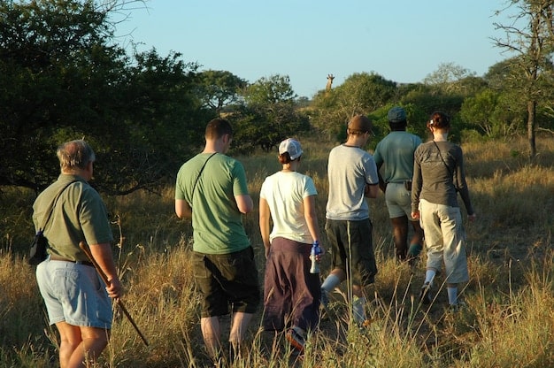 A group of tourists on a guided tour in a national park, observing a herd of bison grazing in the distance. The tourists are equipped with binoculars and cameras, and a park ranger is pointing out features of the landscape. The setting is a vast prairie, and the sky is blue with fluffy clouds.