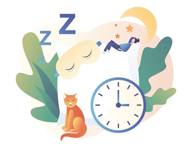 An illustration depicting the circadian rhythm with a clear visual representation of the sleep-wake cycle. A person is shown sleeping at night and active during the day, with a graph indicating melatonin levels rising in the evening and declining in the morning. The impact of blue light on suppressing melatonin production is also illustrated.