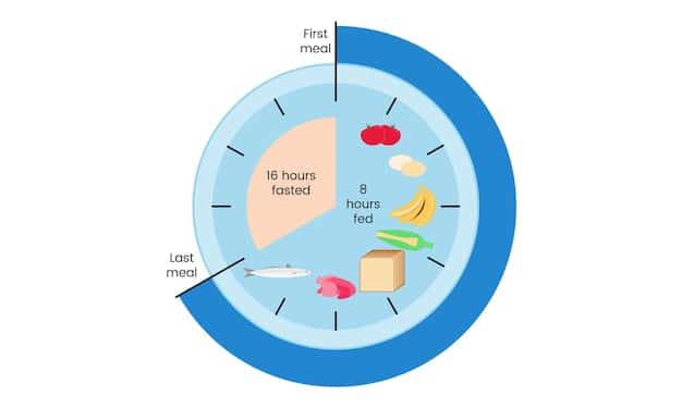 A visual representation of metabolic processes during intermittent fasting, showing the shift from glucose to fat utilization and hormone regulation.
