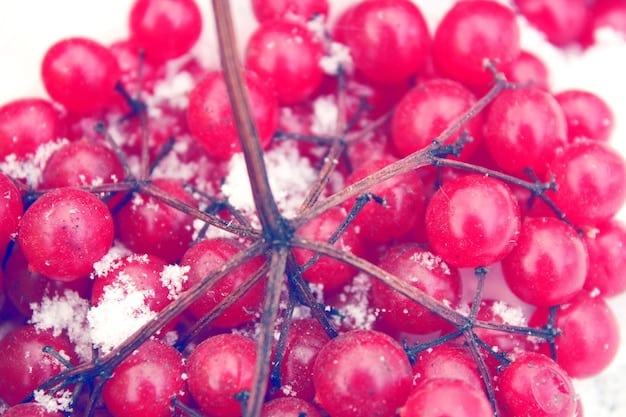 A visual depiction of resveratrol molecules fighting free radicals at a cellular level, with annotations highlighting its antioxidant and anti-inflammatory actions.