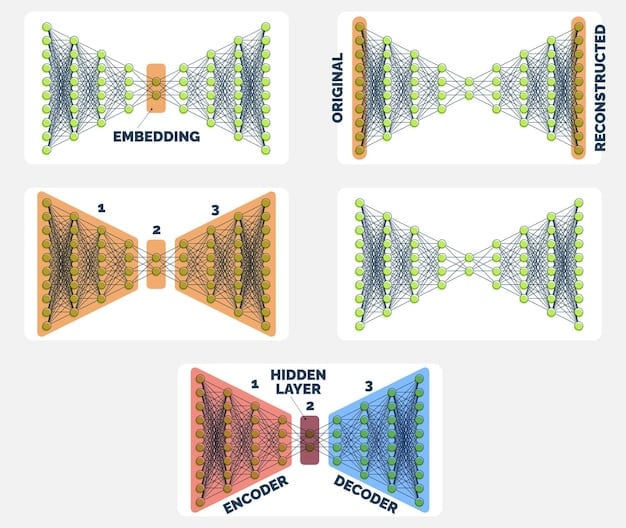 A schematic diagram illustrating the NAD+ pathway, showing NMN and NR converting to NAD+, with symbols for cellular energy and DNA repair, and a subtle overlay of a sleep cycle graph.