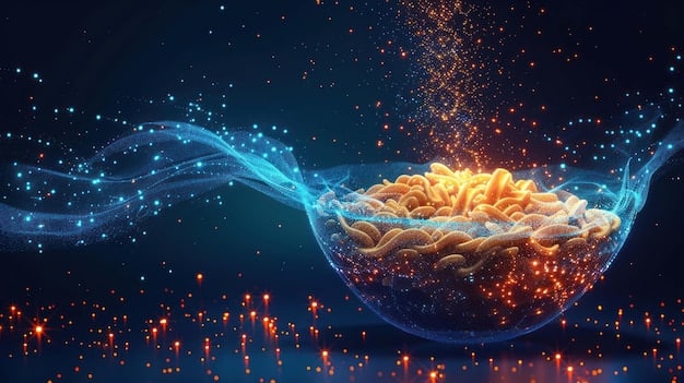 Boost Your Brain: Anti-Aging Supplements for Memory & Focus 2025