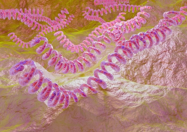 Telomere Length & Anti-Aging Supplements: 2025 Research Insights