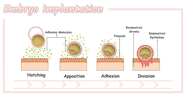 A schematic diagram illustrating a healthy skin barrier versus a compromised one, highlighting key components like ceramides and lipids, with a soothing color palette.