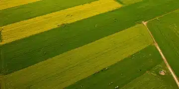 Aerial view of a regenerative farm in the US Midwest, showcasing diverse crops and grazing animals.
